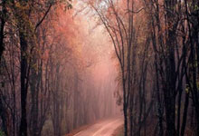 以客户需求驱动 推动财富管理转型