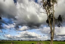 中美经贸磋商机制首次会议在英国伦敦举行