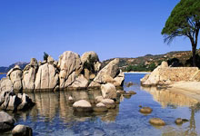 银发经济 要标准更要温度